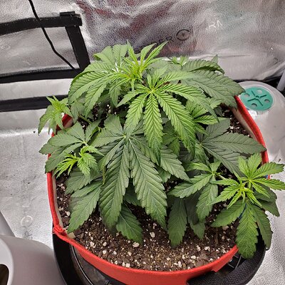 20250602_122619 - Copy.jpg