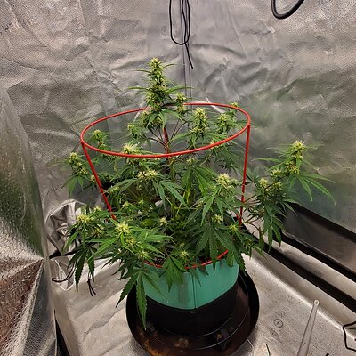 20250610_092824 - Copy.jpg