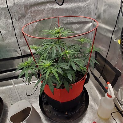 20250610_092833 - Copy.jpg