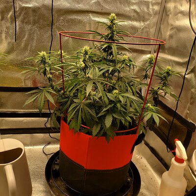 20250617_100441 - Copy.jpg