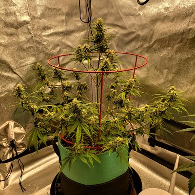 20250617_100433 - Copy.jpg