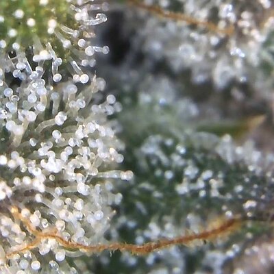 Image_2025-06-30 21_25_19_209.jpg