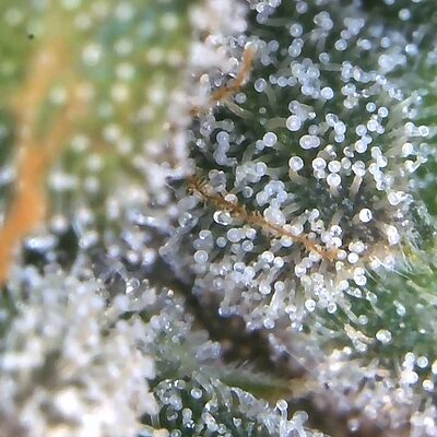 Image_2025-06-30 21_25_10_337.jpg