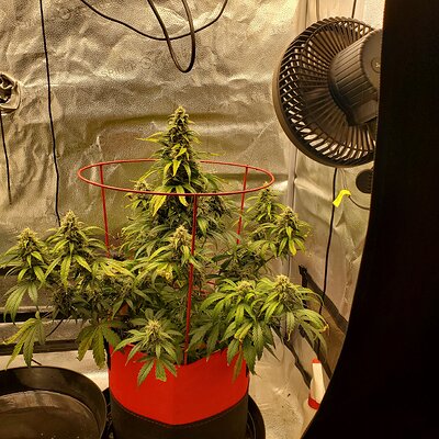 20250701_102202 - Copy.jpg