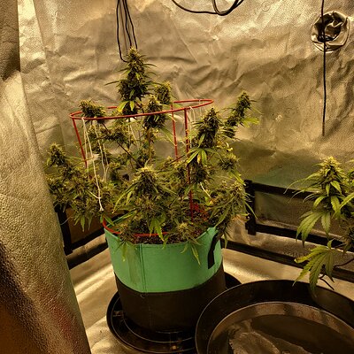 20250701_102206 - Copy.jpg