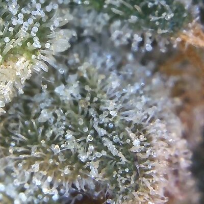 Image_2025-07-07 17_04_43_836.jpg