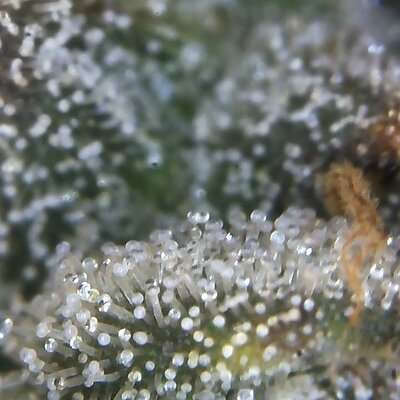 Image_2025-07-07 17_02_23_323.jpg