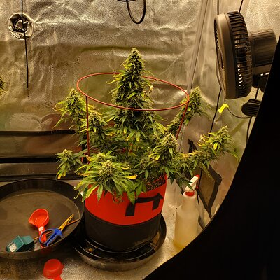 20250708_104807 - Copy.jpg