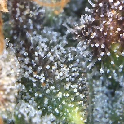 Image_2025-07-14 17_29_35_235.jpg