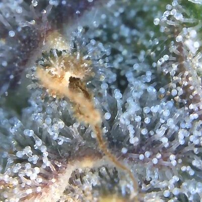 Image_2025-07-14 17_28_59_031.jpg