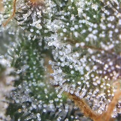 Image_2025-07-14 17_28_10_340.jpg