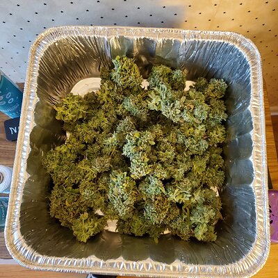 20250726_113551 - Copy.jpg