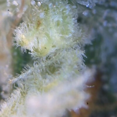 Image_2025-08-10 08_42_16_340.jpg