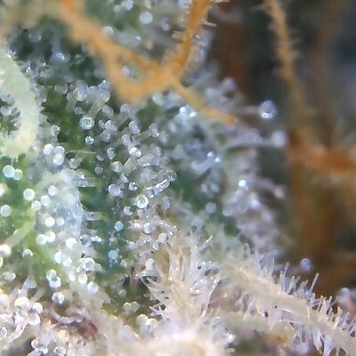 Image_2025-11-02 07_44_08_858.jpg