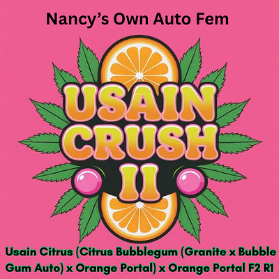 “Auto Usain Crush II” Auto Usain Citrus (Citrus Bubblegum (Granite x Bubble Gum Auto) x Orange...png