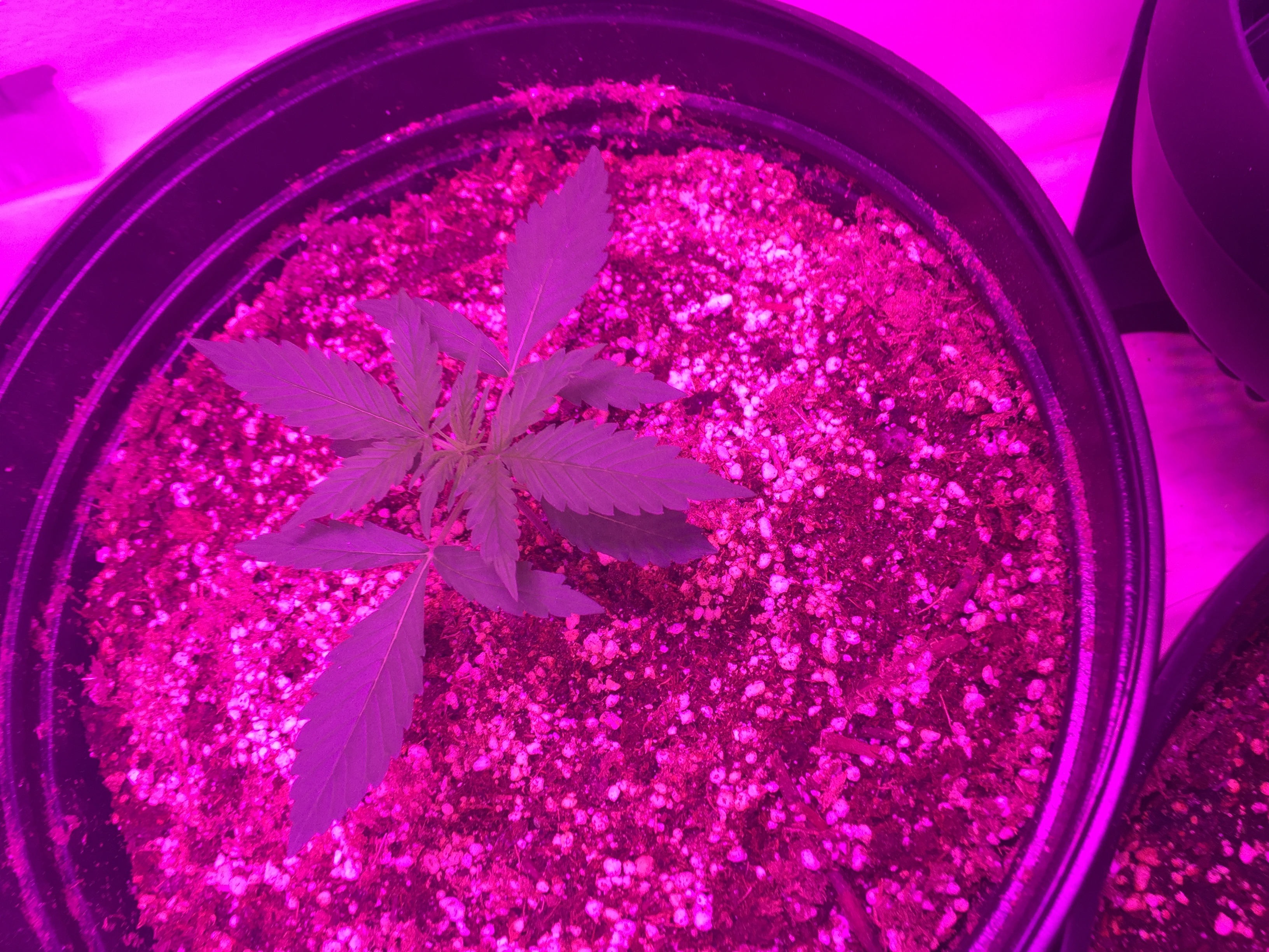 080D1DC7-ADDE-4300-BB47-46D88B435386