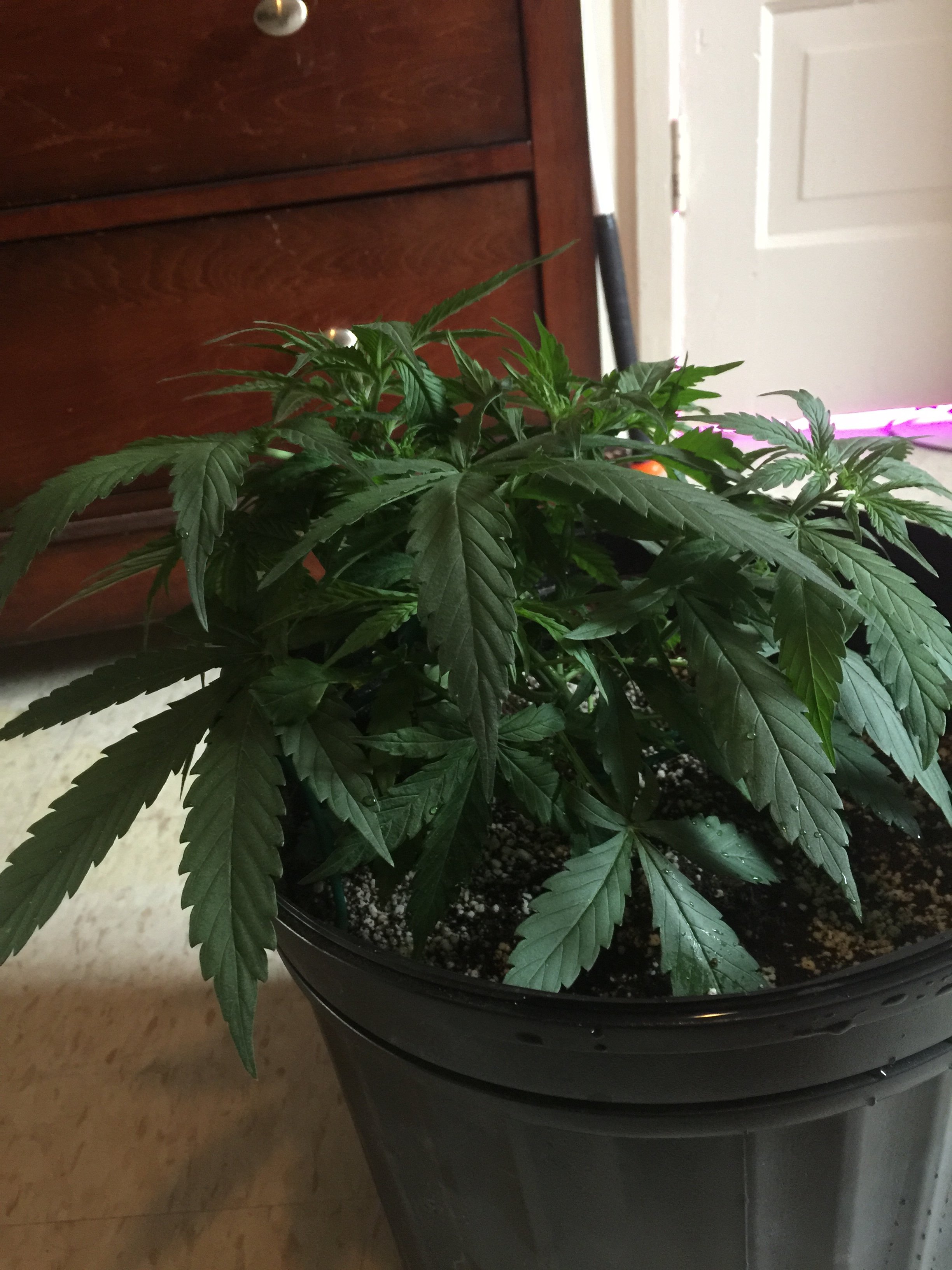 132AA482-0FE0-415B-8EA7-13D3771D7846