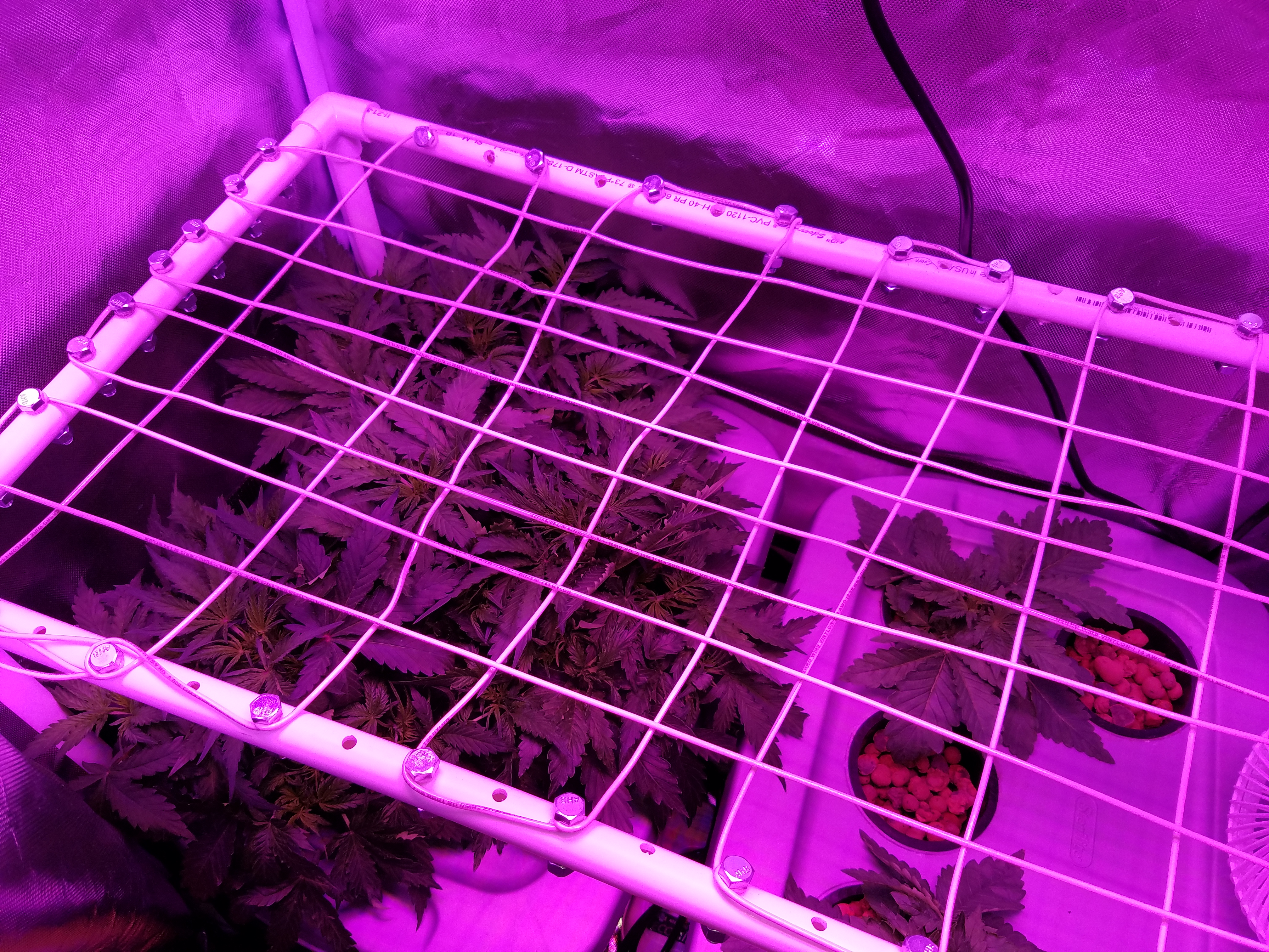 1484183337994-1570790379