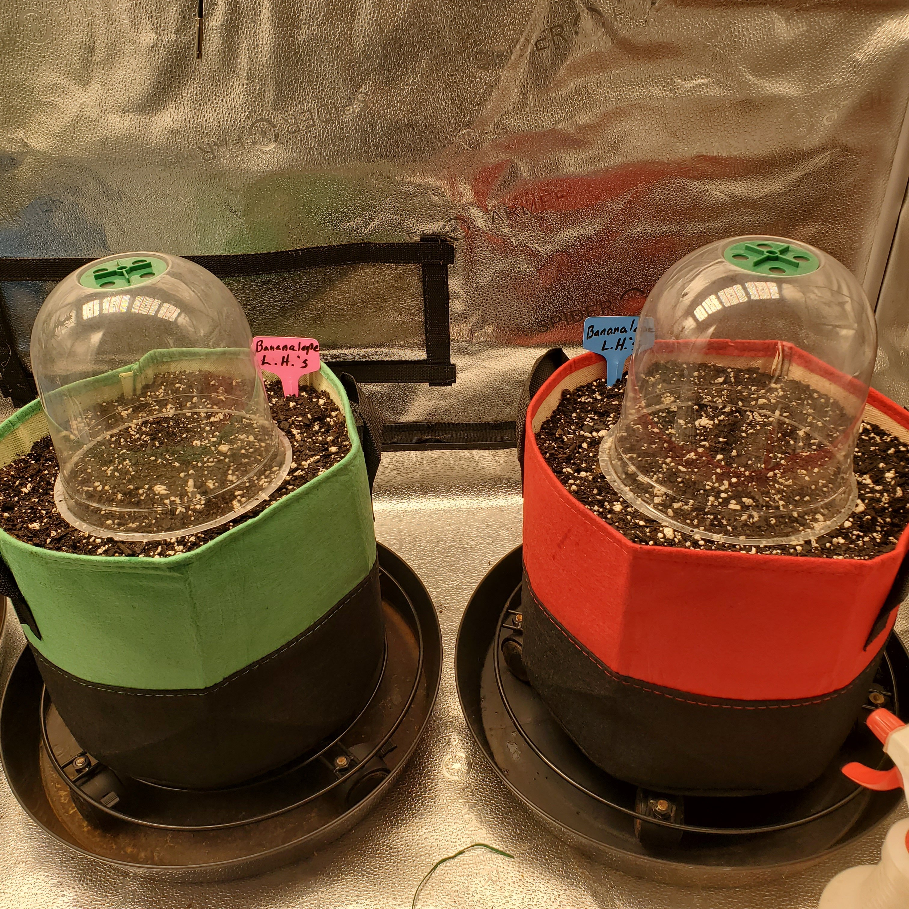 20250426_105413 - Copy.jpg