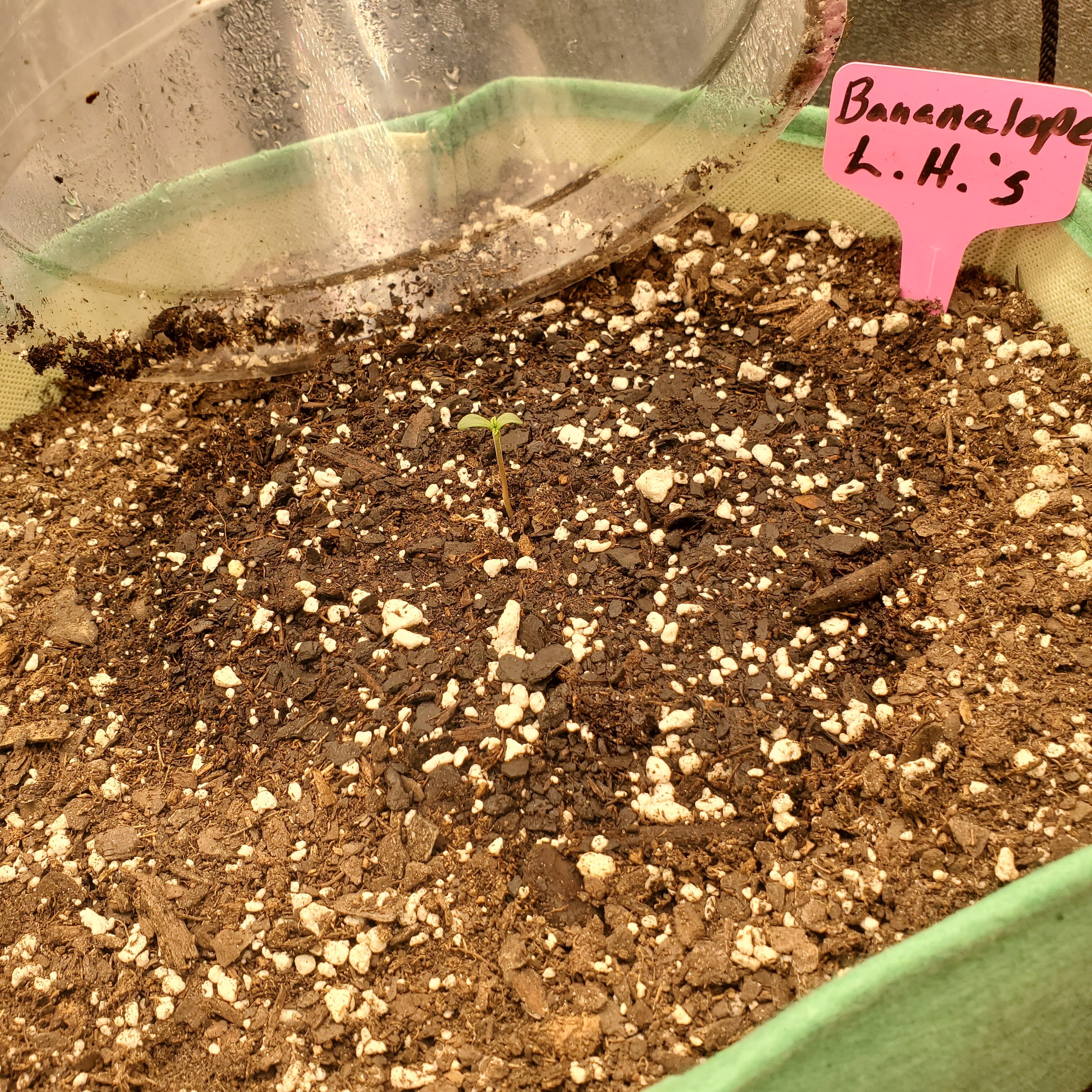 20250429_213434 - Copy.jpg