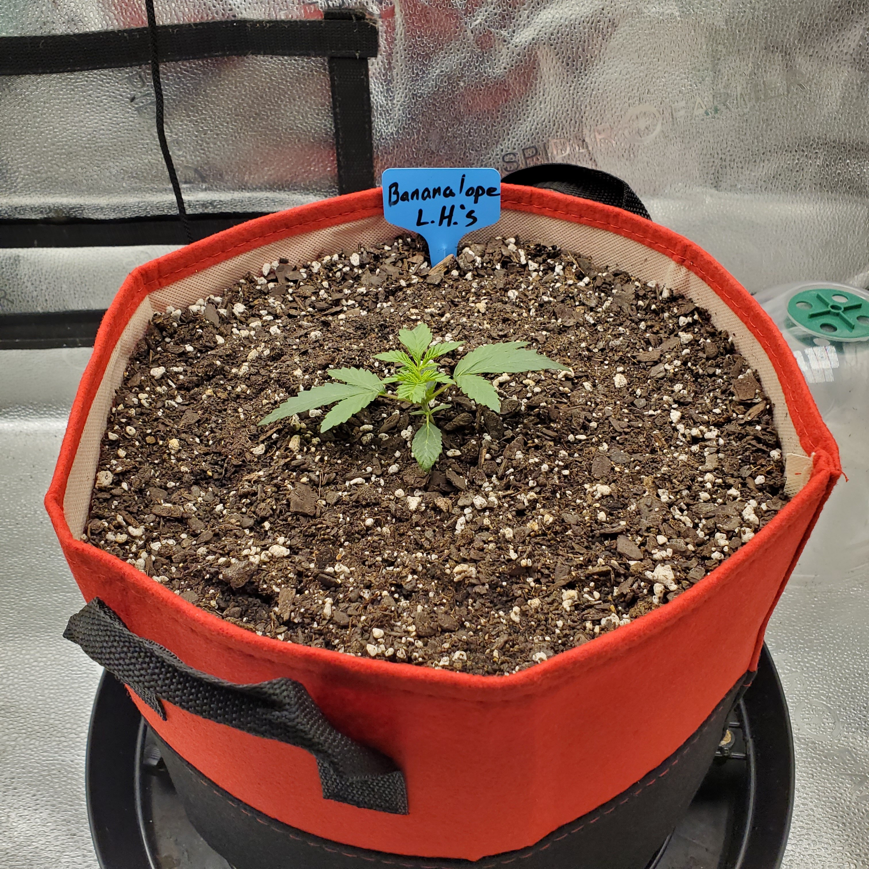 20250520_091618 - Copy.jpg