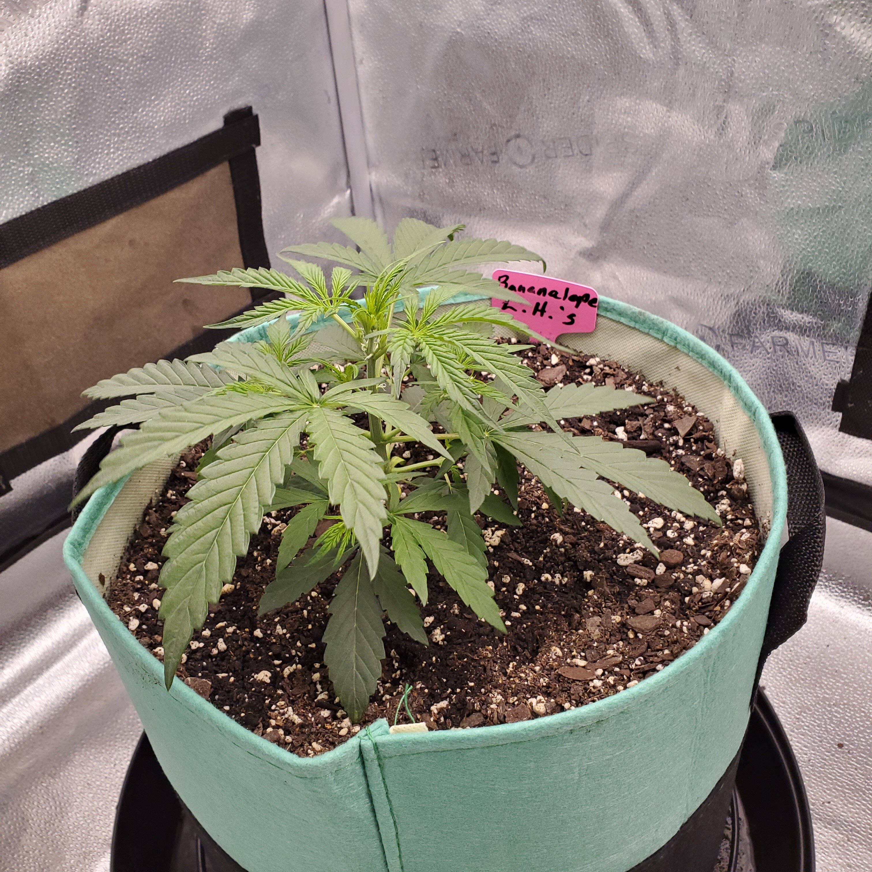 20250520_091622 - Copy.jpg