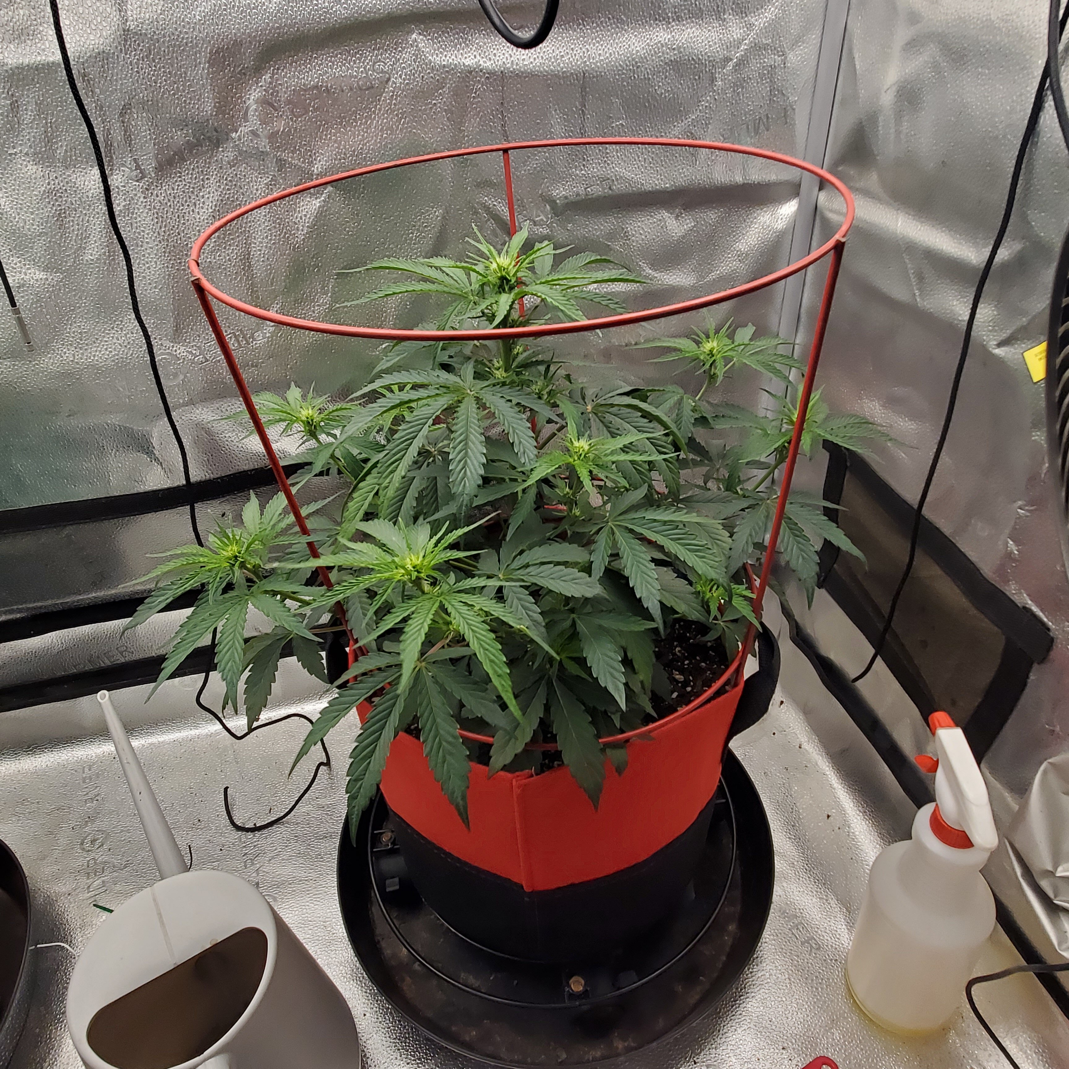 20250610_092833 - Copy.jpg