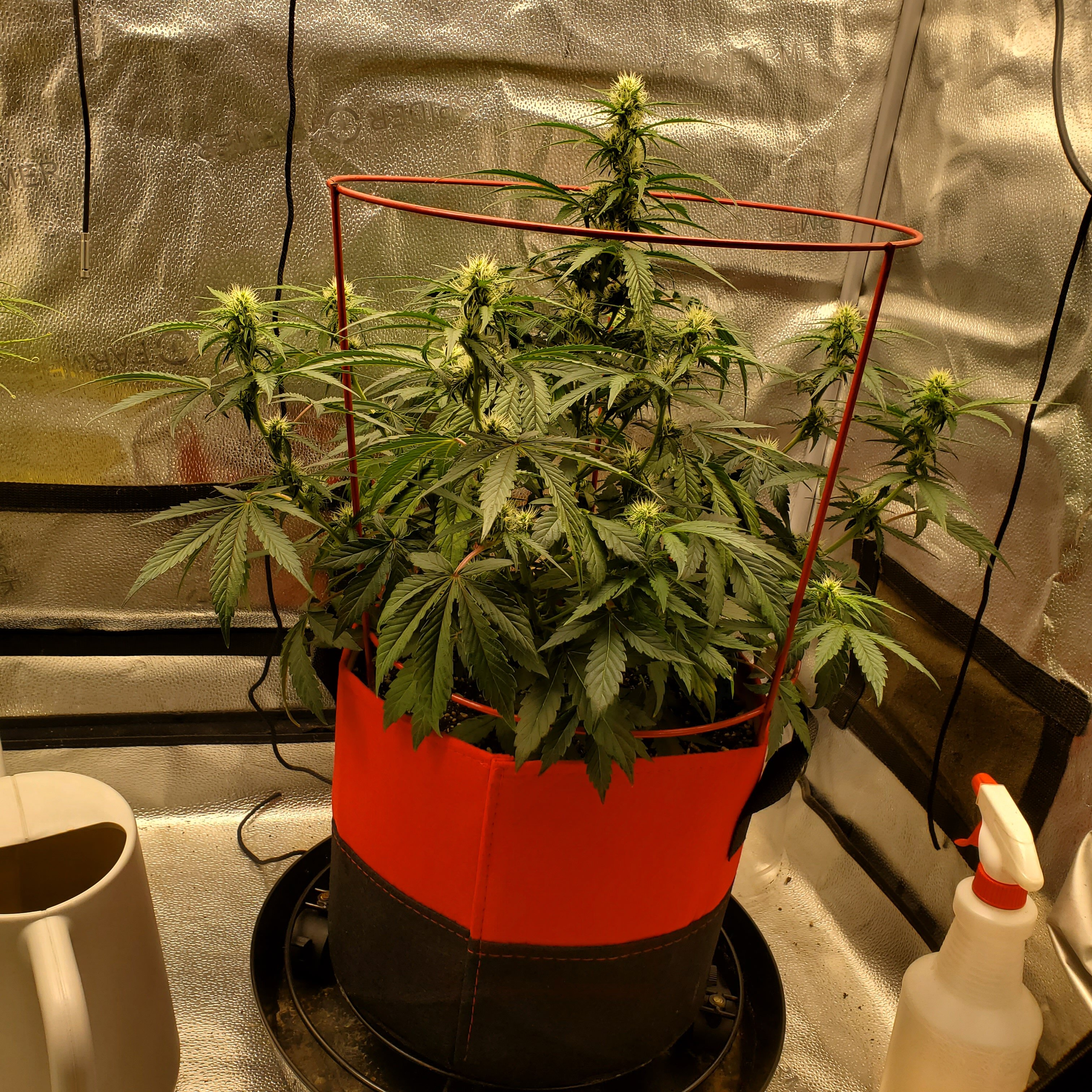 20250617_100441 - Copy.jpg