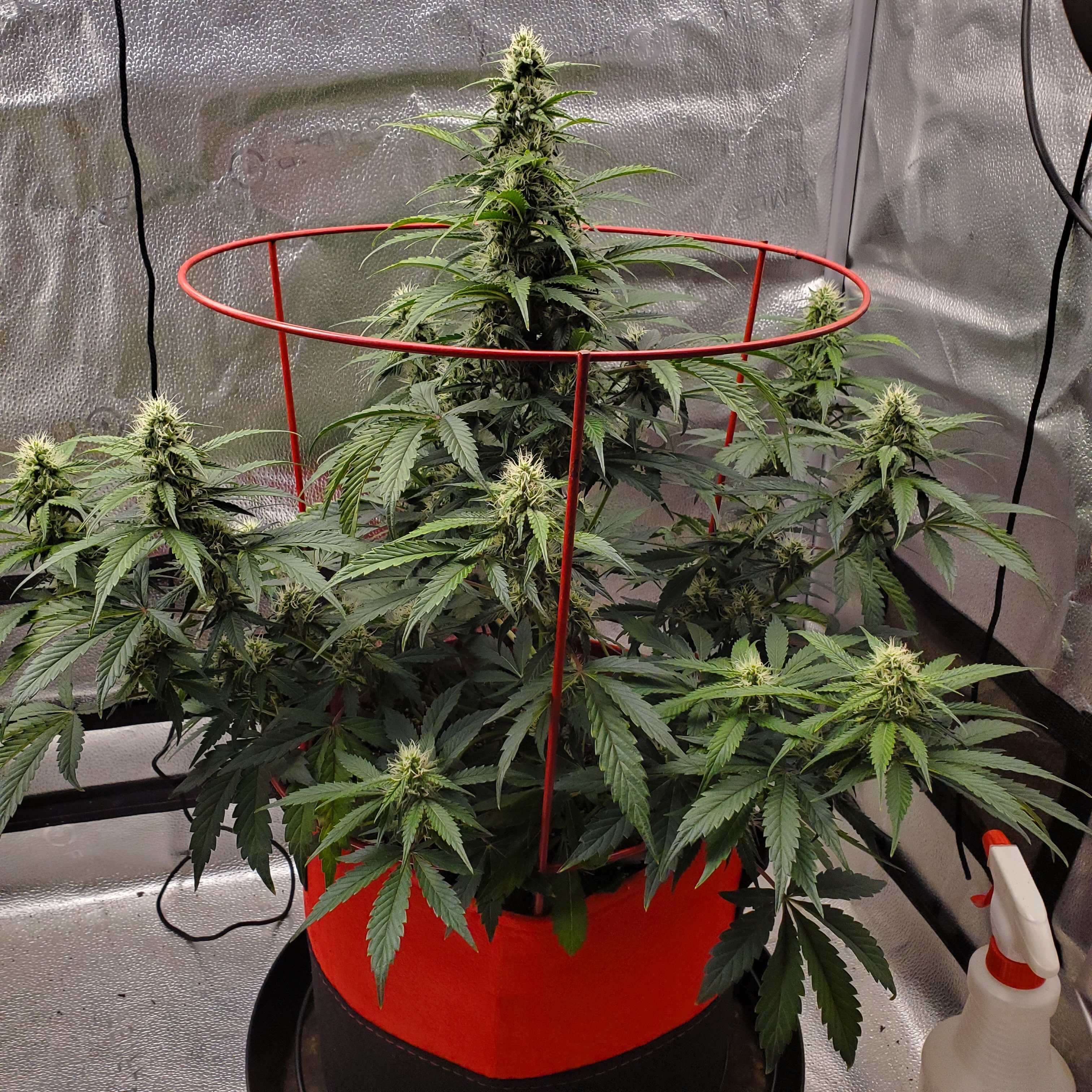 20250623_121944 - Copy.jpg