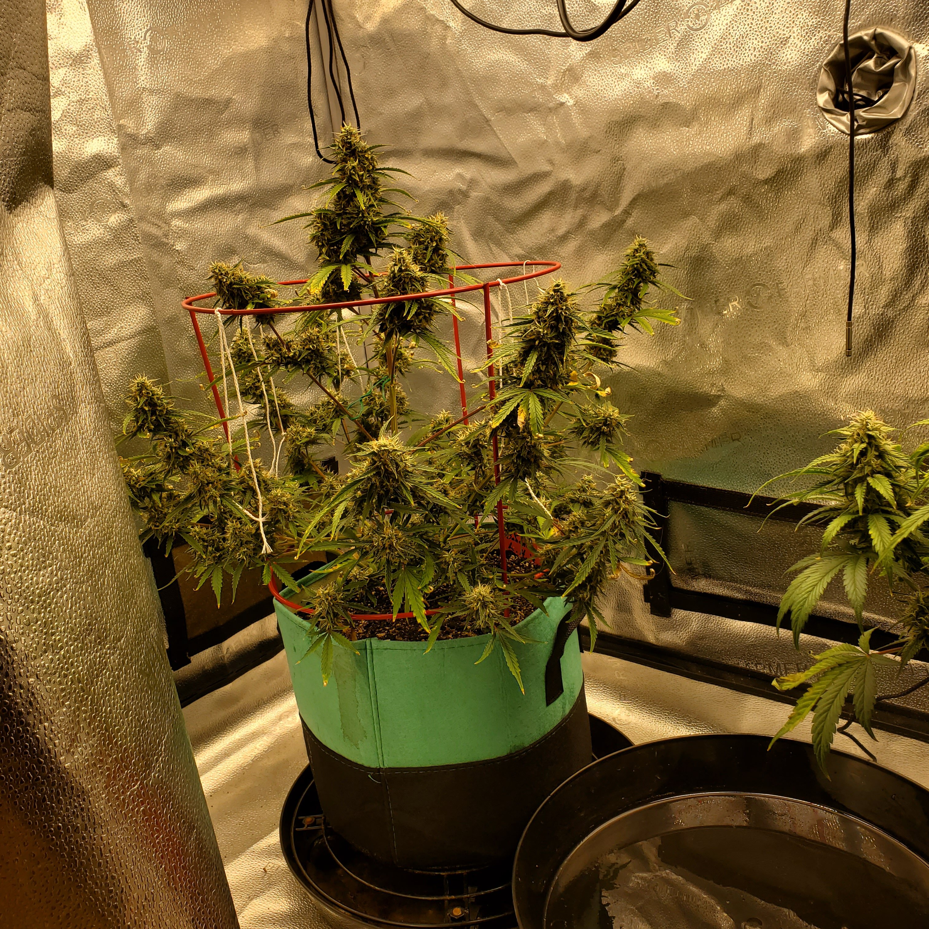 20250701_102206 - Copy.jpg