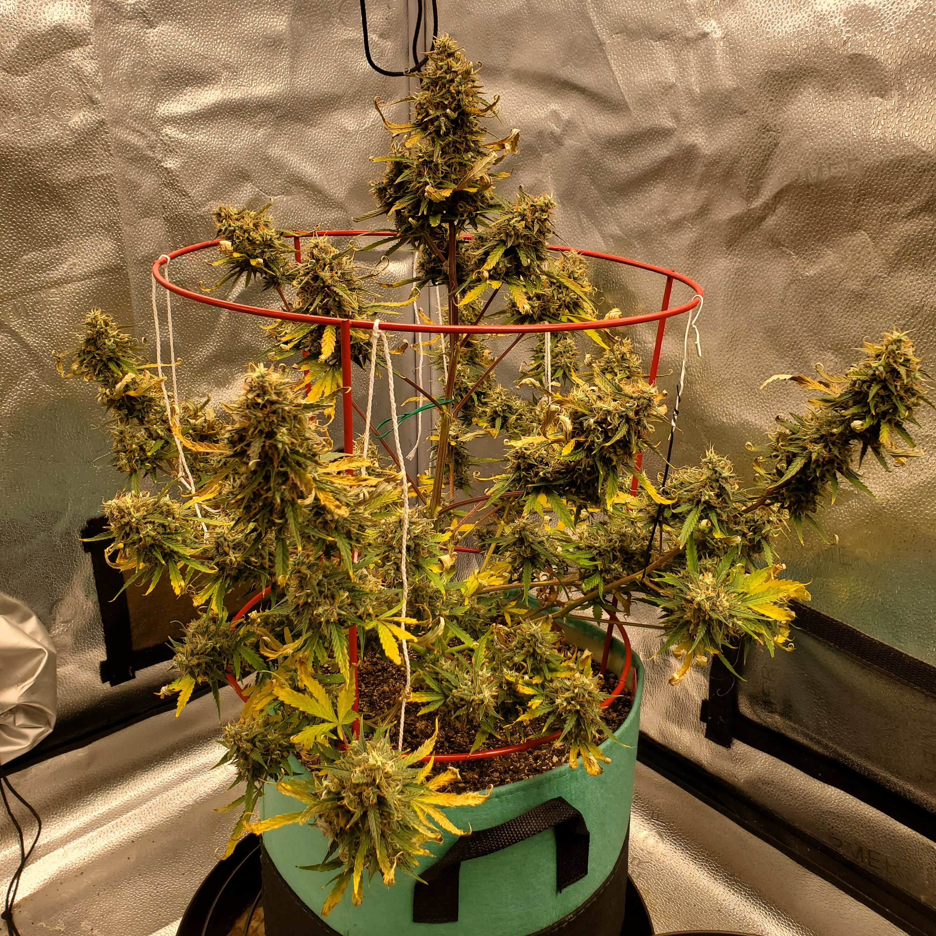 20250708_104739 - Copy.jpg