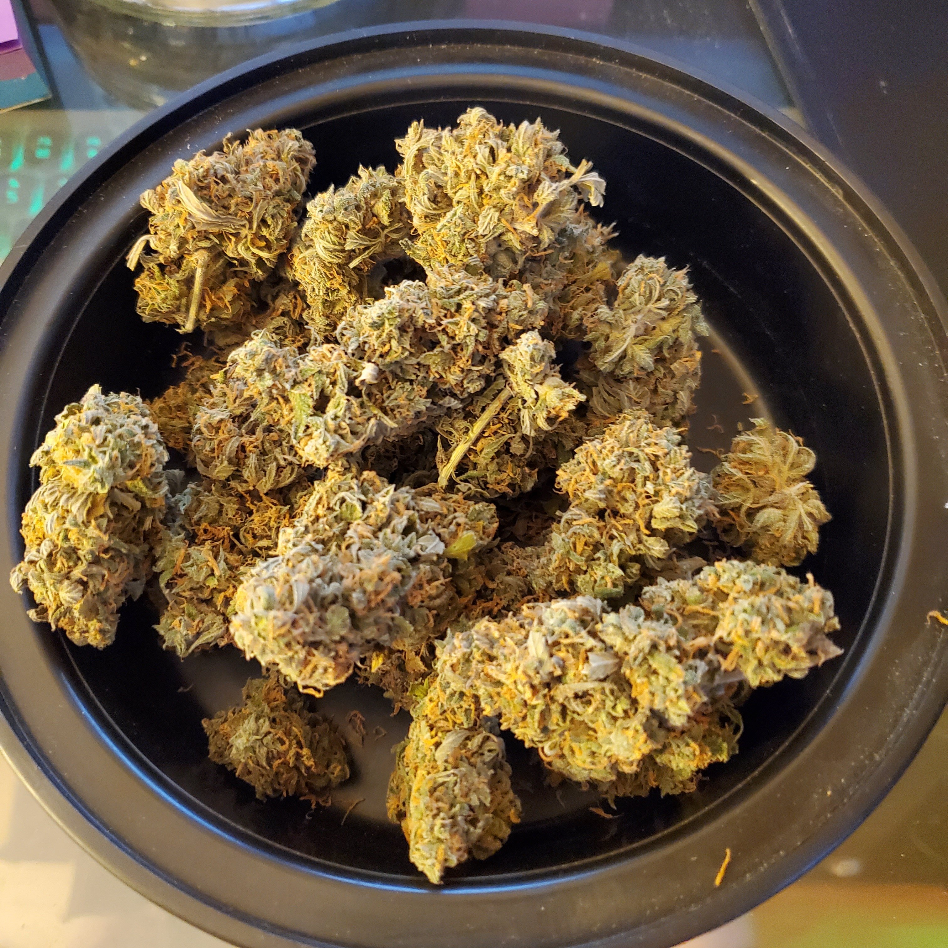 20250721_083638 - Copy.jpg