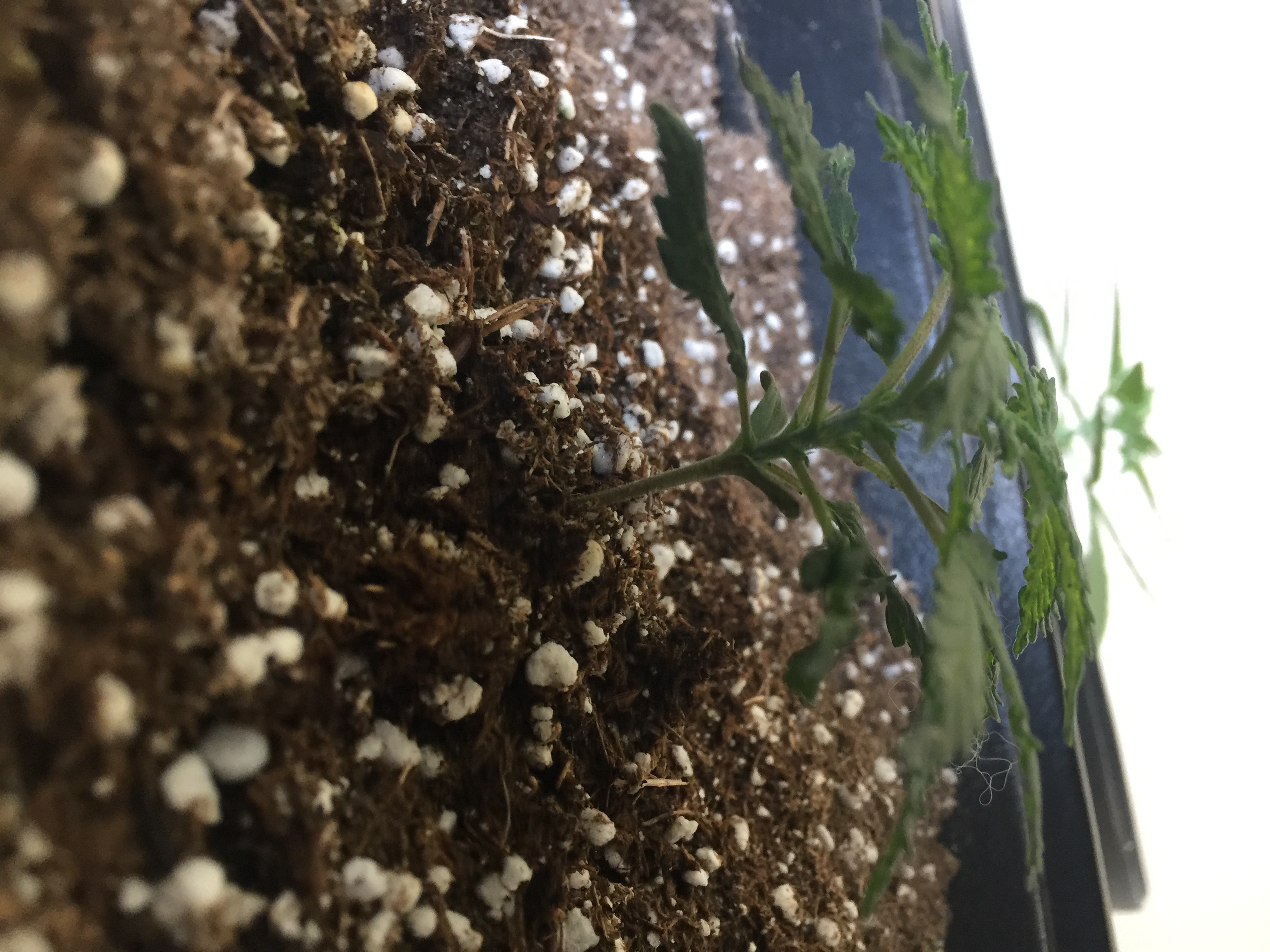 2111D19B-91DB-435D-9598-6999A0BB4DA1