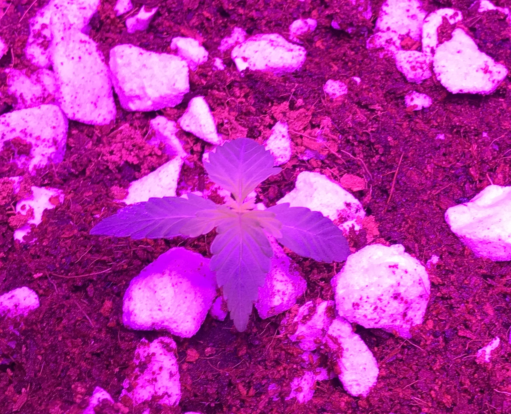 51CBA9CD-B059-488E-88E9-455CCD7617DF