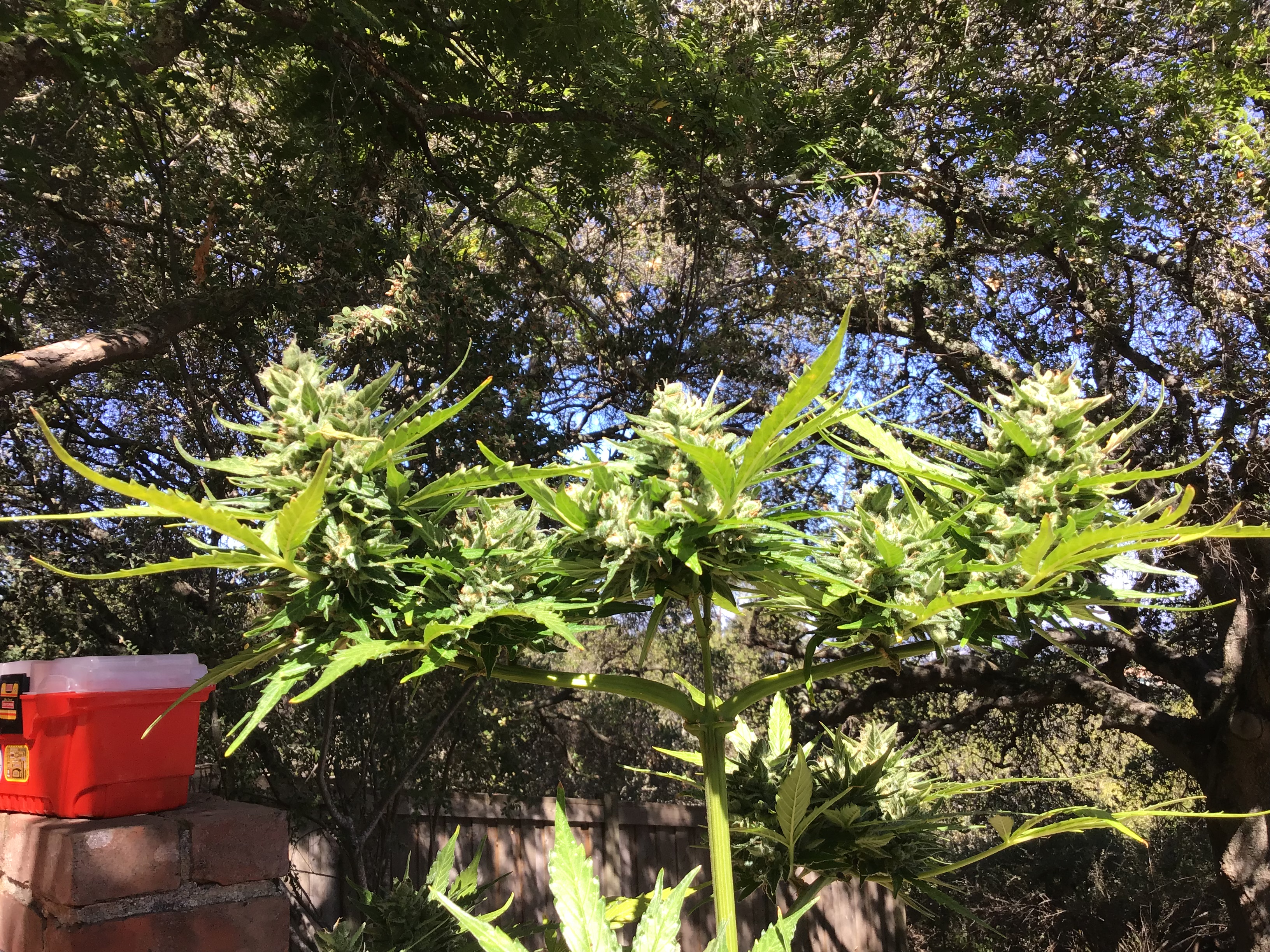 74F13C76-2641-4AB1-A37C-0DD4BACB7874