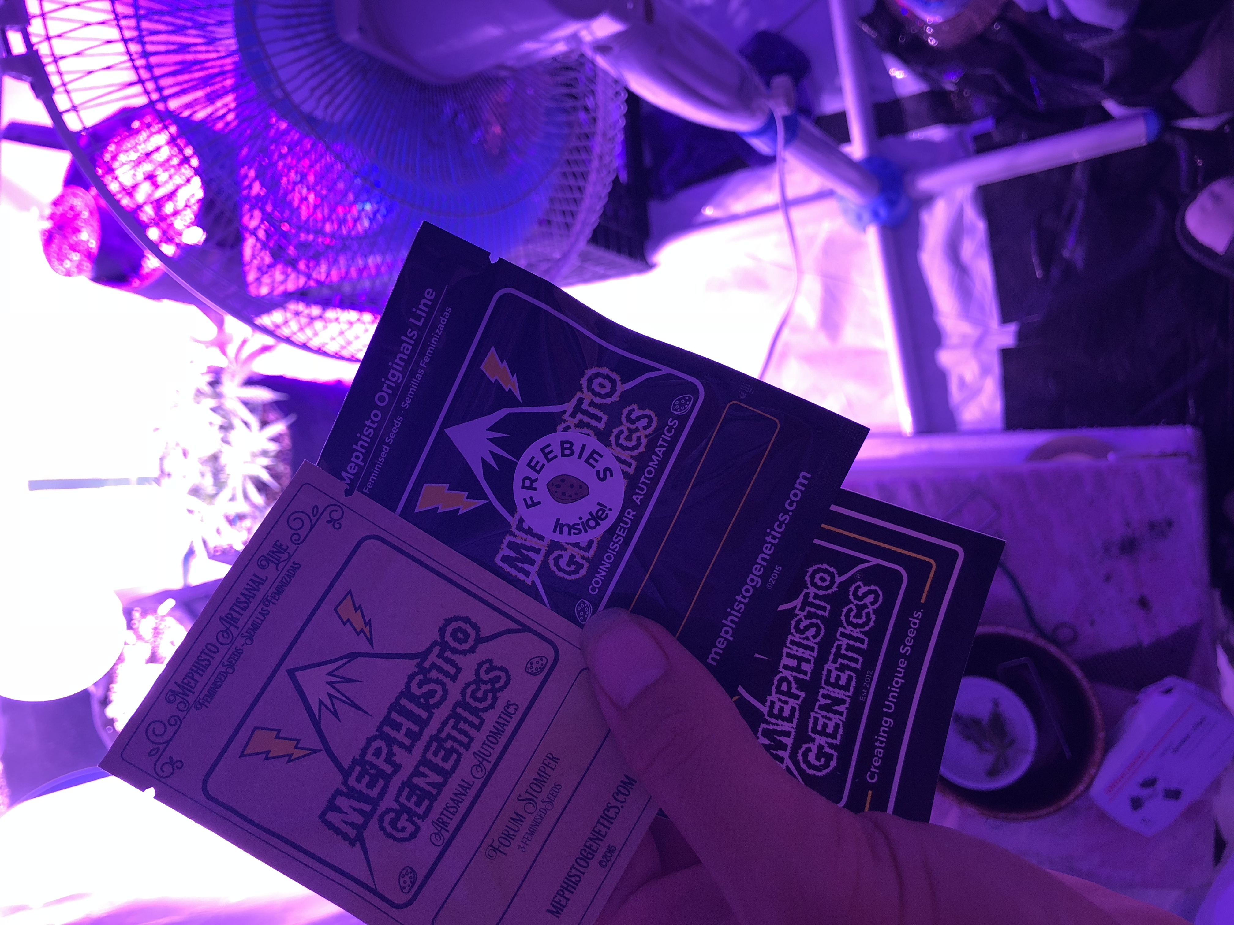 85BBCB59-F6EC-45BE-BBAC-1B08DC1A0B8A