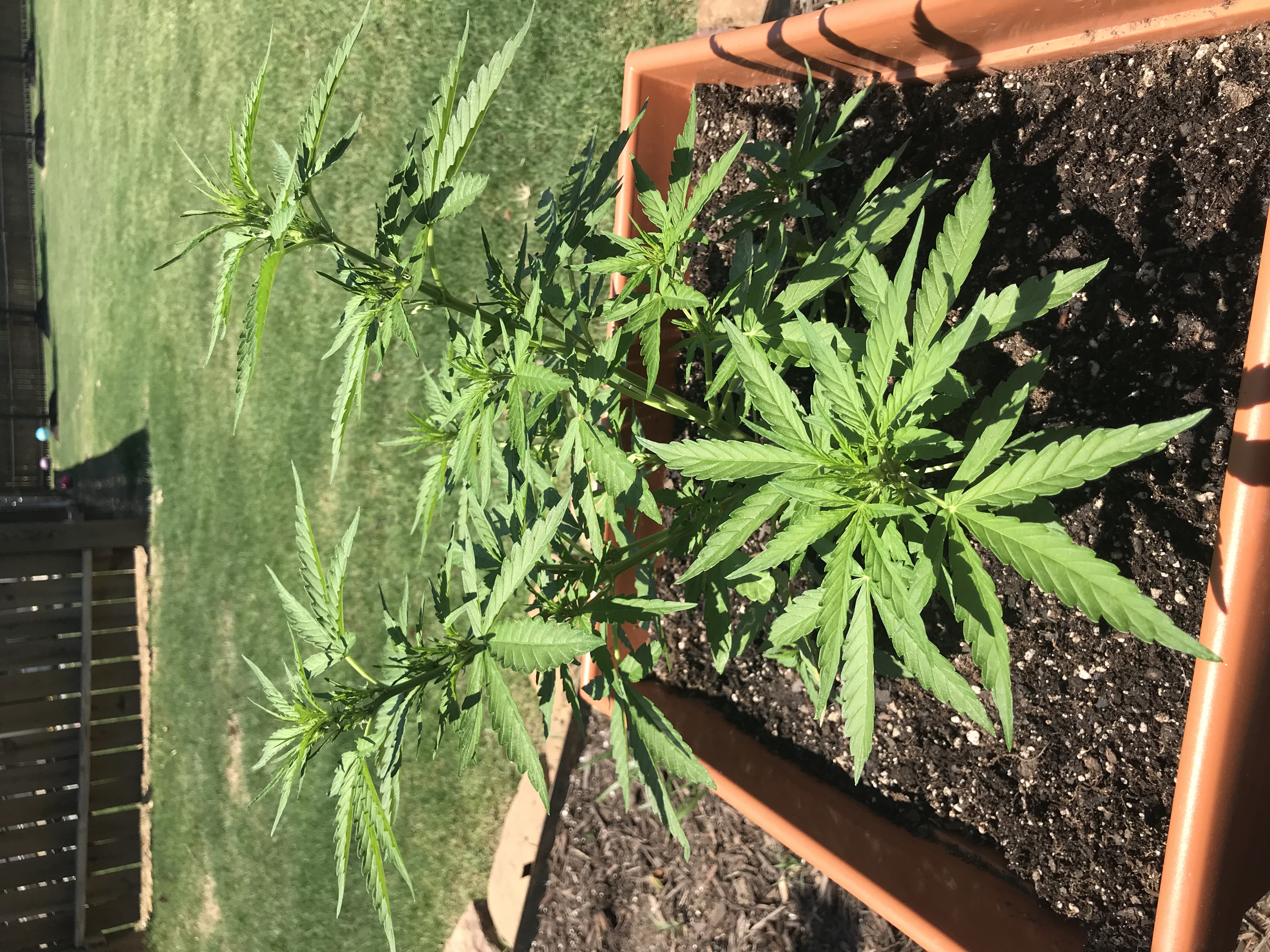 89F54017-4375-48F0-87BE-E77FD4350151