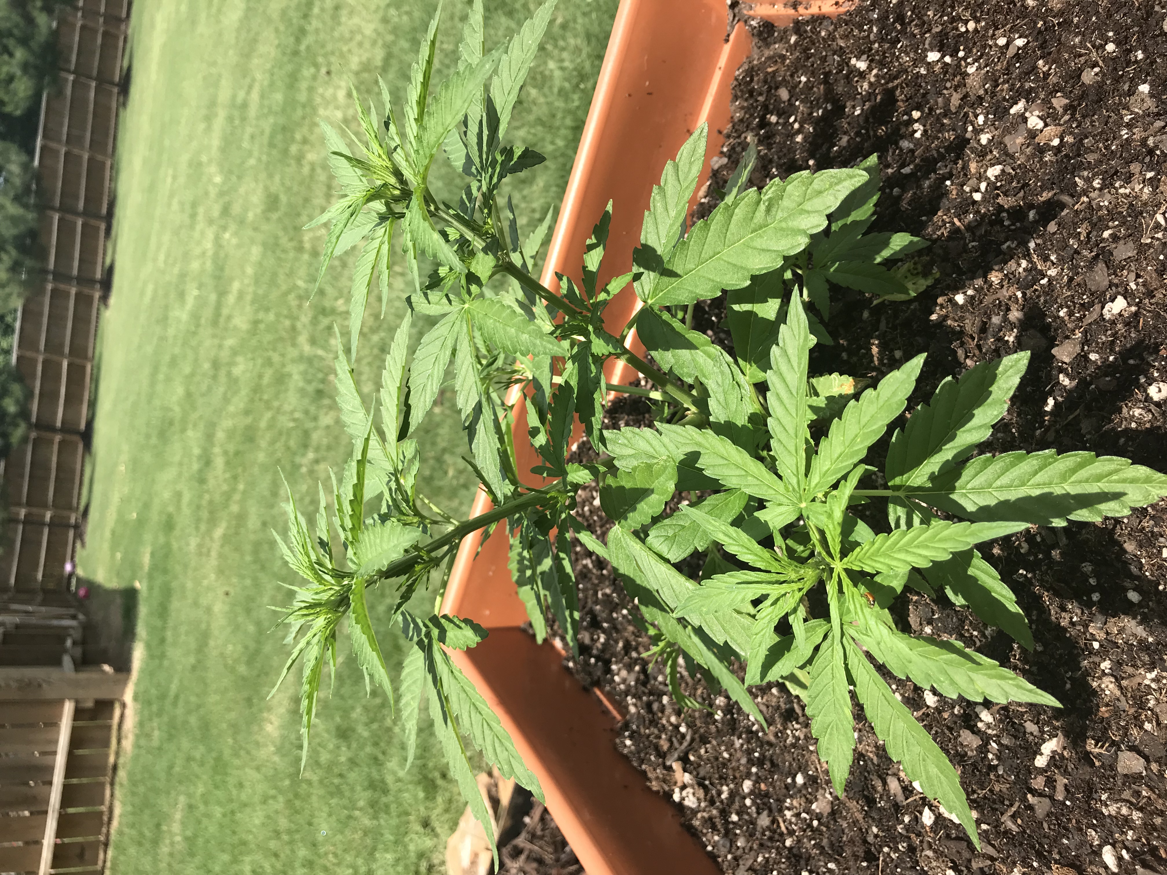 9087F837-63CE-4F2B-98F9-4135D37F1B3E