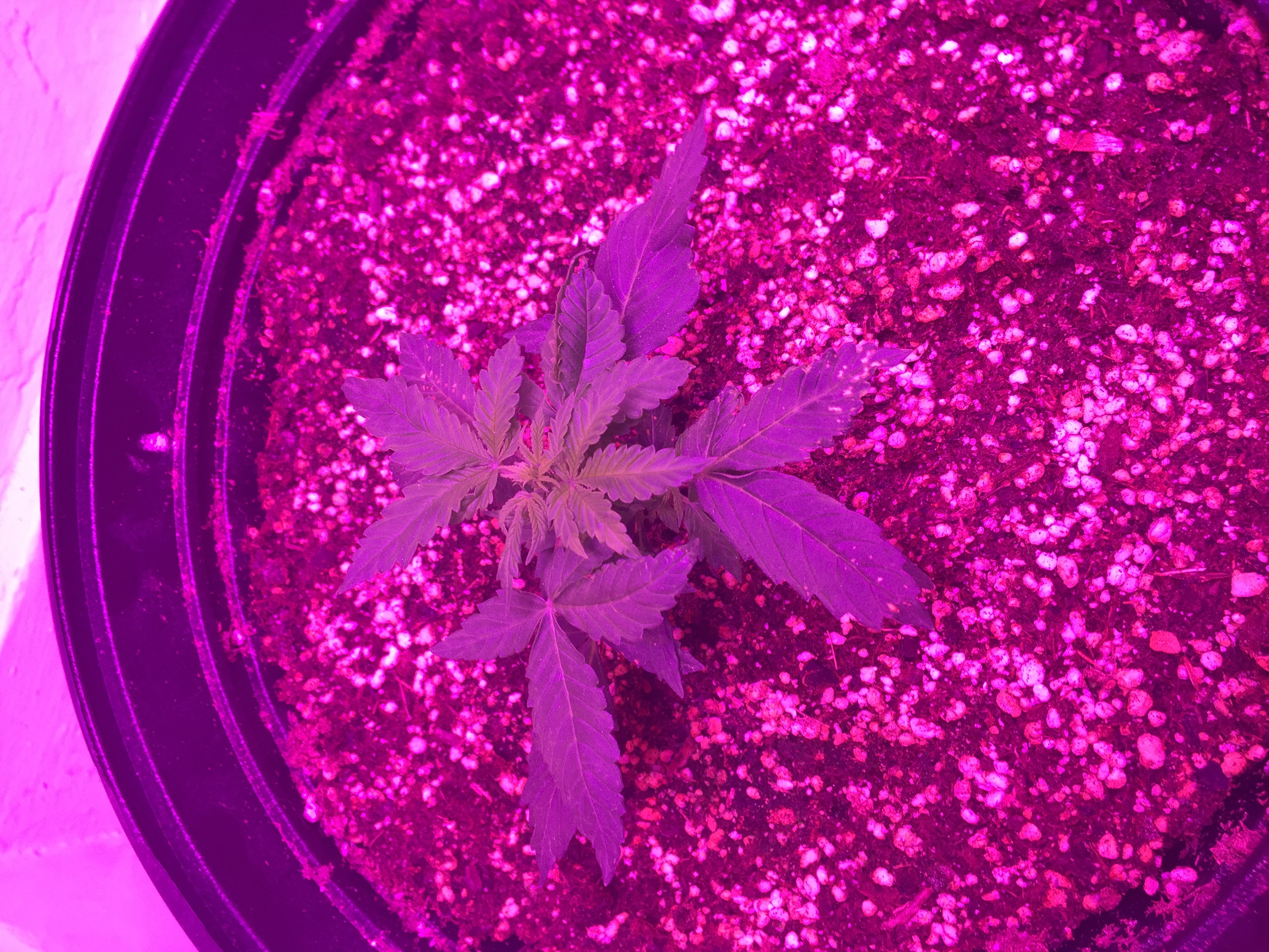 9E602053-FC17-4E70-8DE9-9A2C9D9E24EE