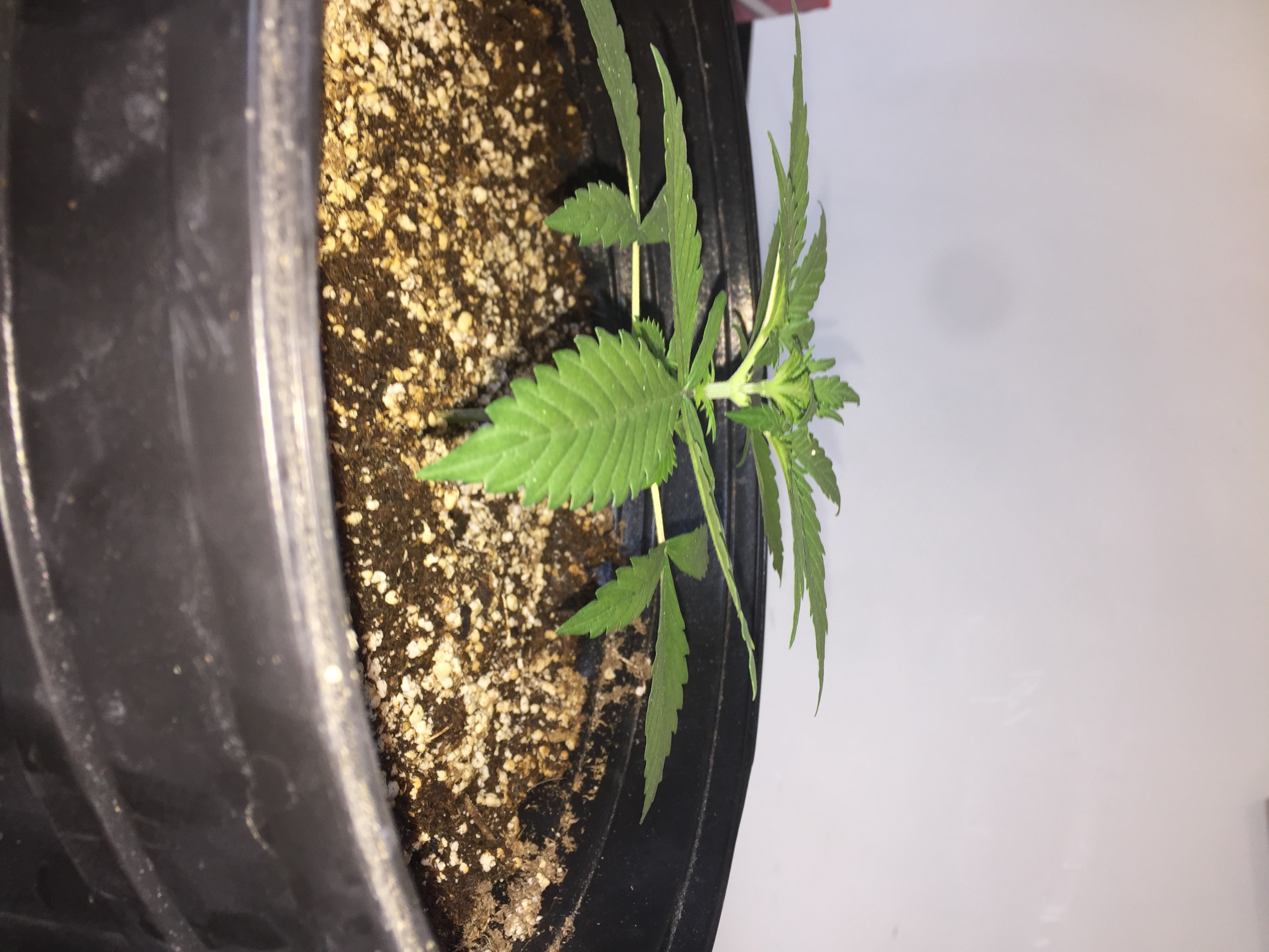 A8F5C0C3-042F-4E5B-B672-A15ED5440581