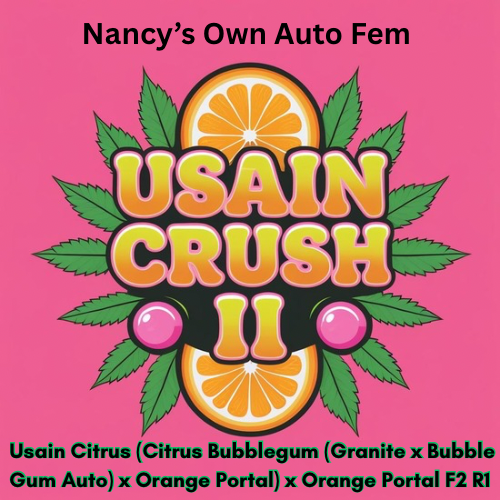 “Auto Usain Crush II” Auto Usain Citrus (Citrus Bubblegum (Granite x Bubble Gum Auto) x Orange...png
