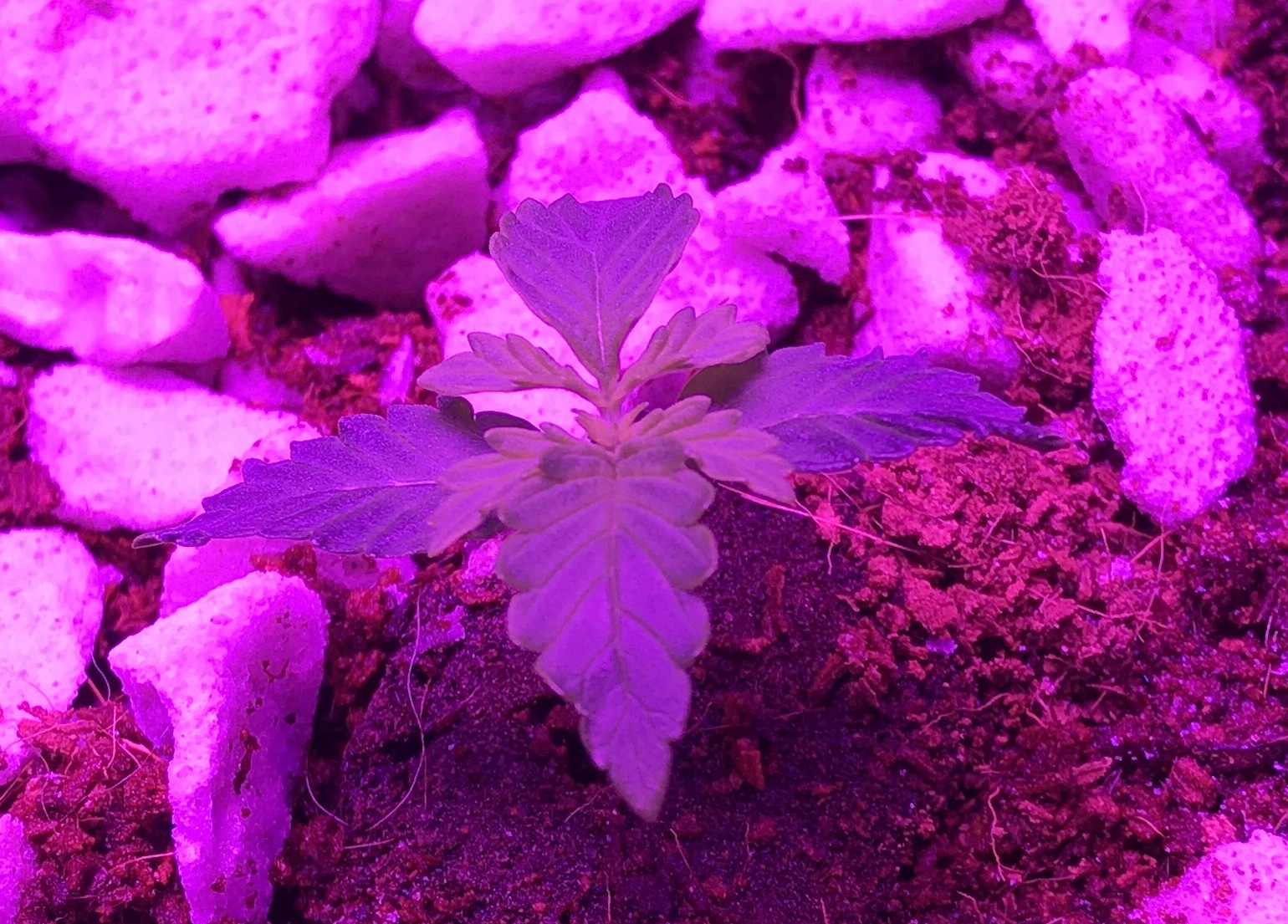 B8343B93-D953-427D-B3DC-0C209318B311