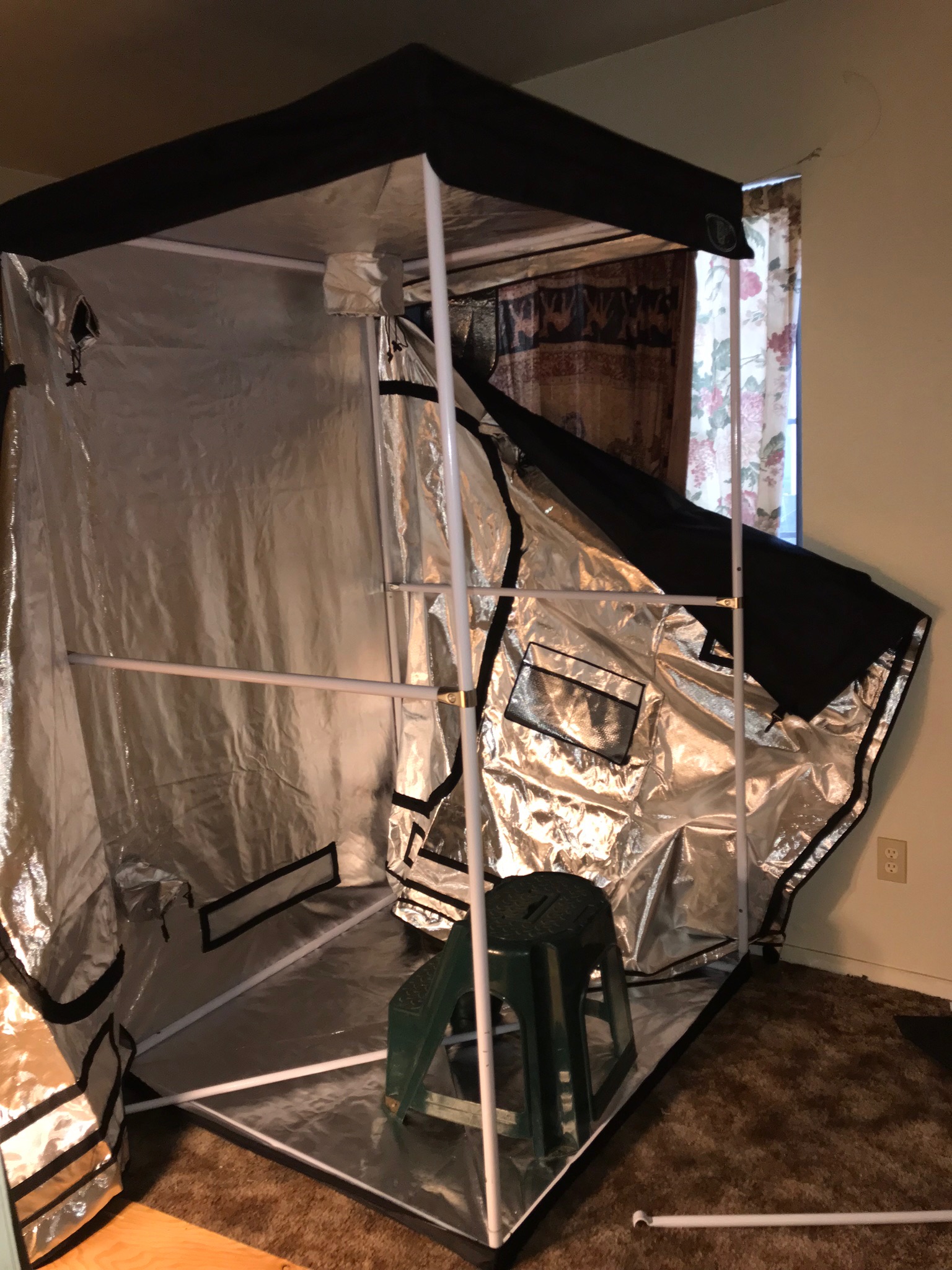 D24BCA15-2328-4475-B78E-FFFF687FA5DF