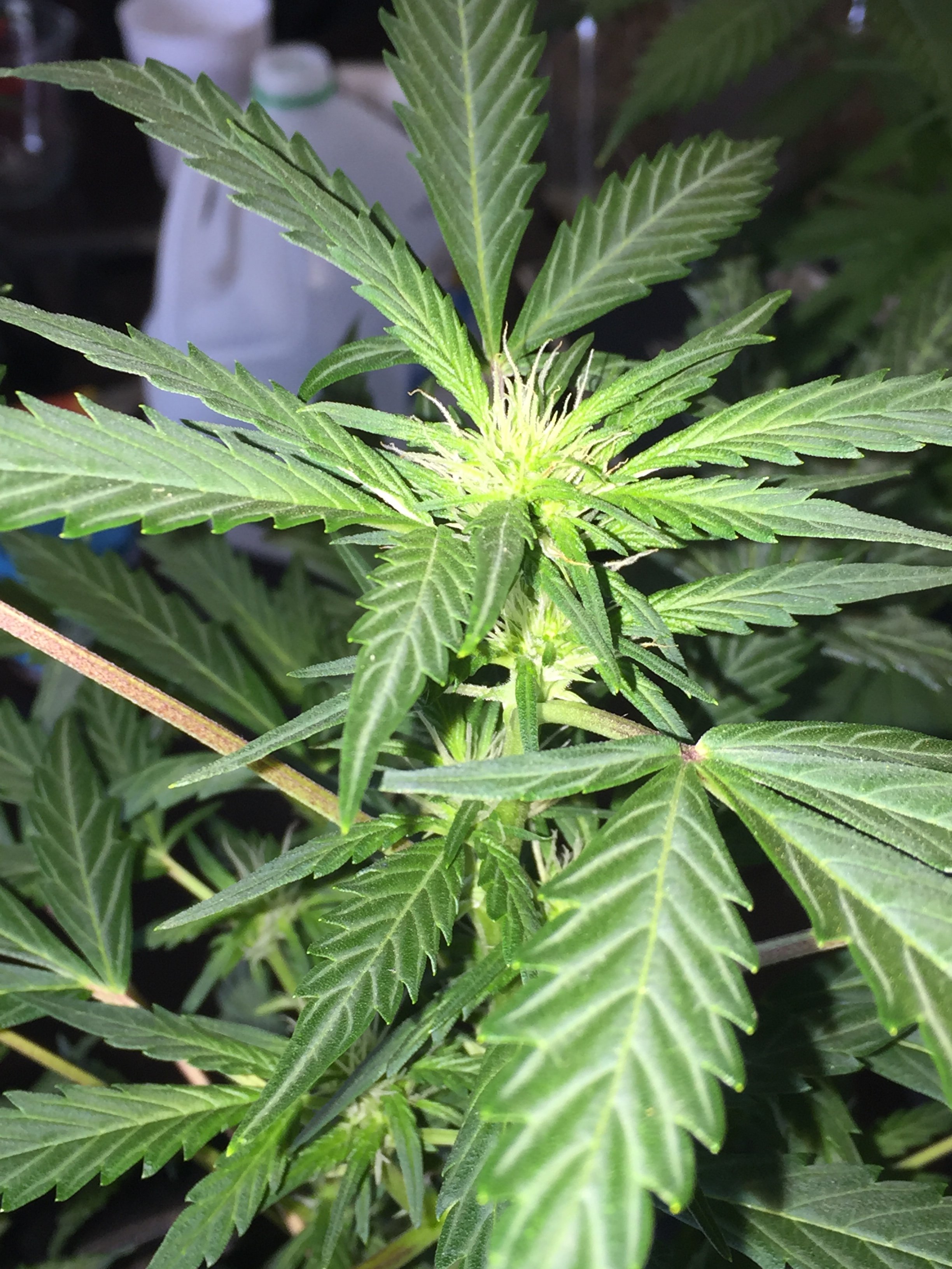 E1A25D2D-35AF-4CB8-8436-5FE2BC8DDB0C