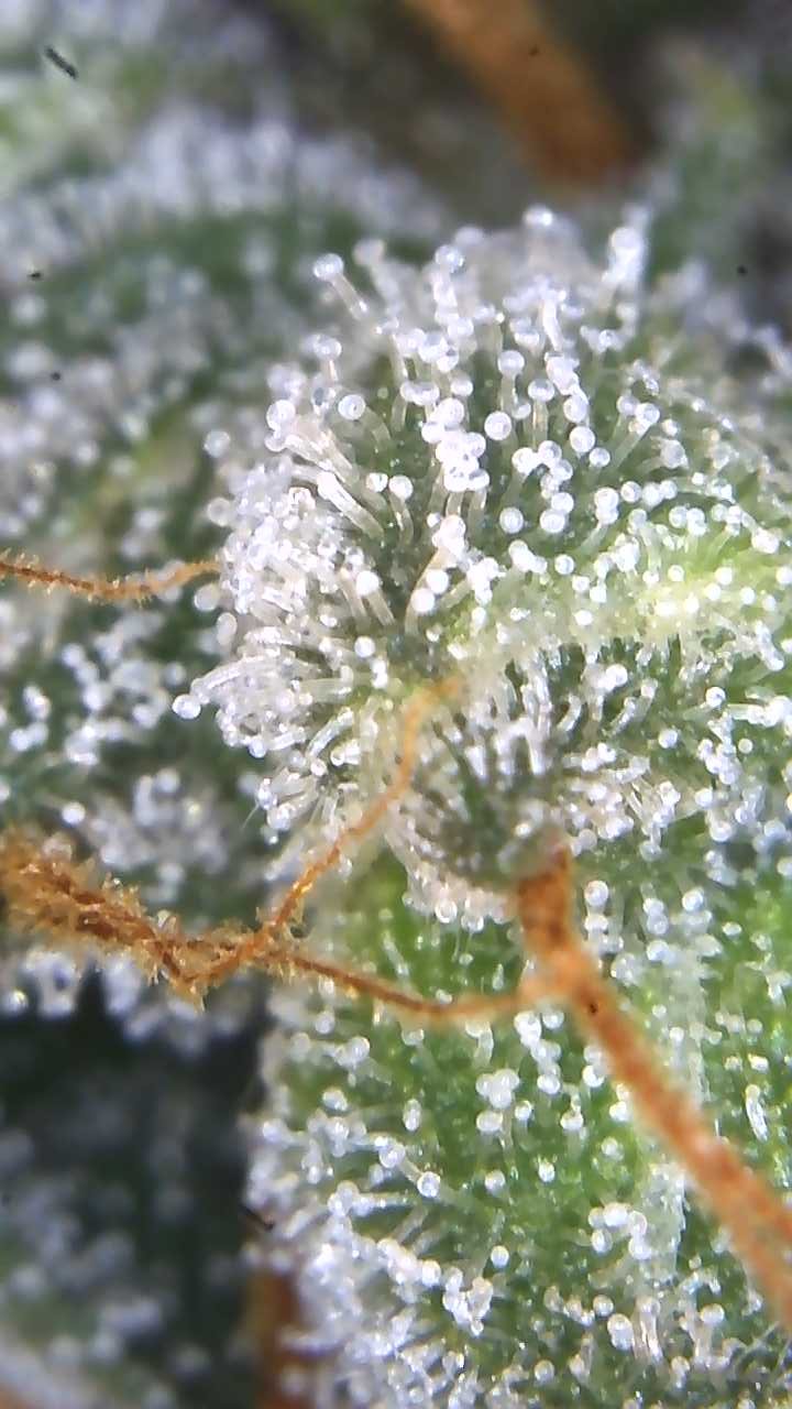 Image_2025-06-30 21_24_56_530.jpg