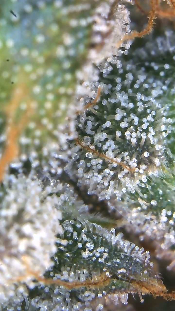 Image_2025-06-30 21_25_10_337.jpg