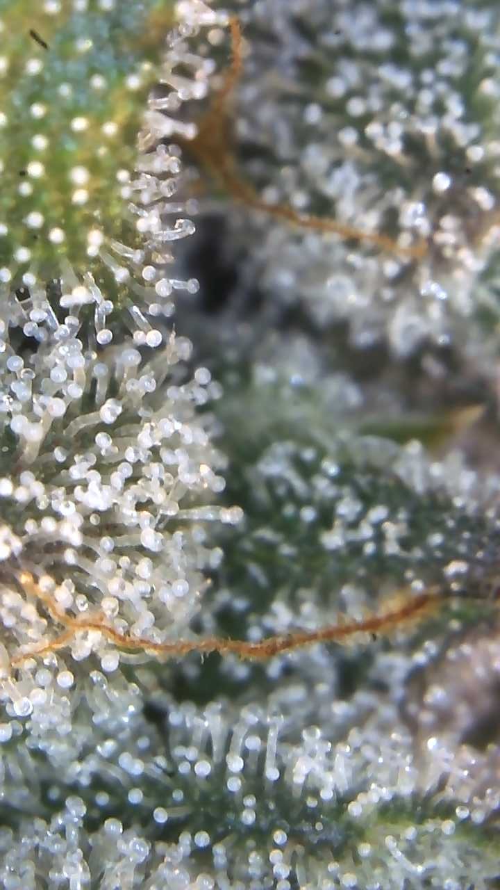 Image_2025-06-30 21_25_19_209.jpg