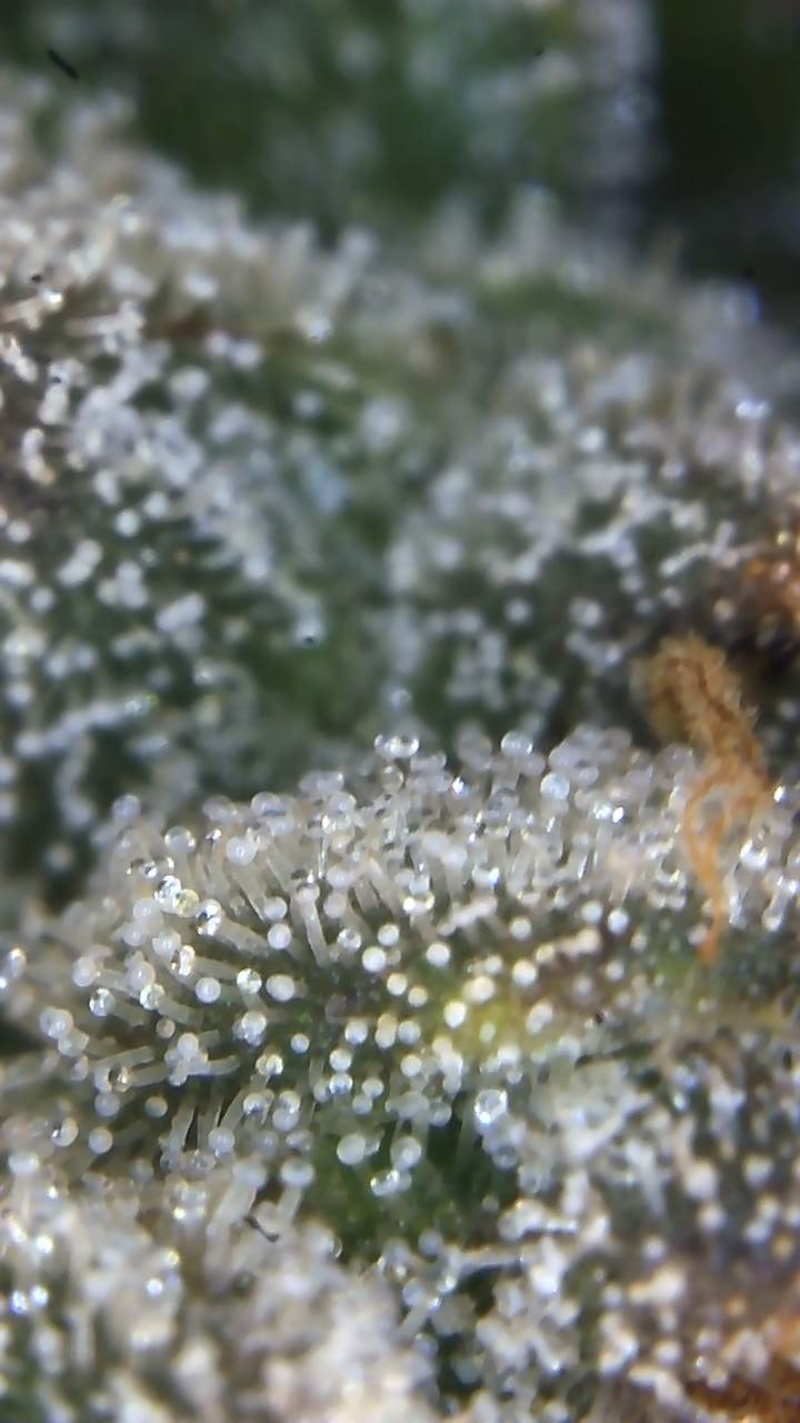 Image_2025-07-07 17_02_23_323.jpg