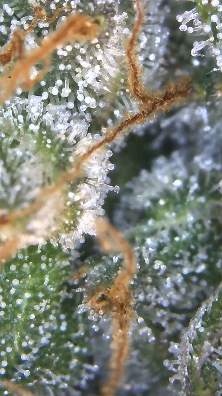 Image_2025-07-07 17_03_31_222.jpg