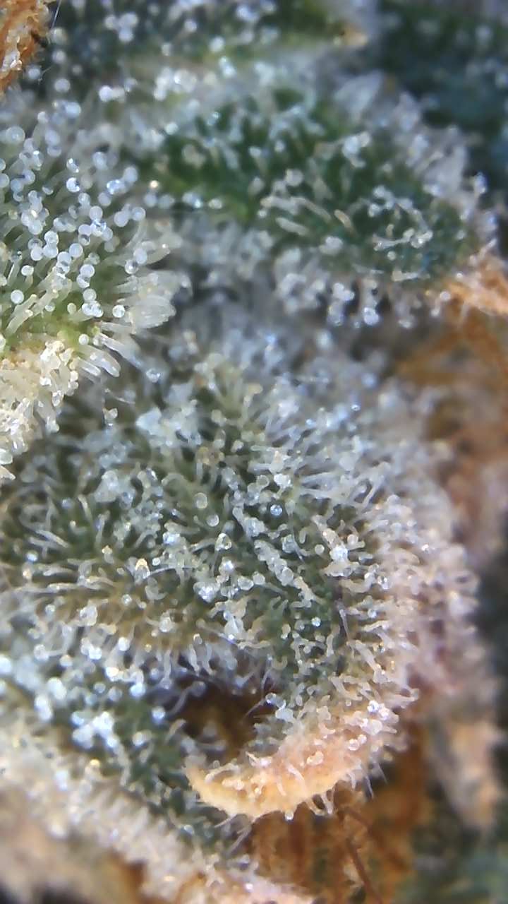 Image_2025-07-07 17_04_43_836.jpg